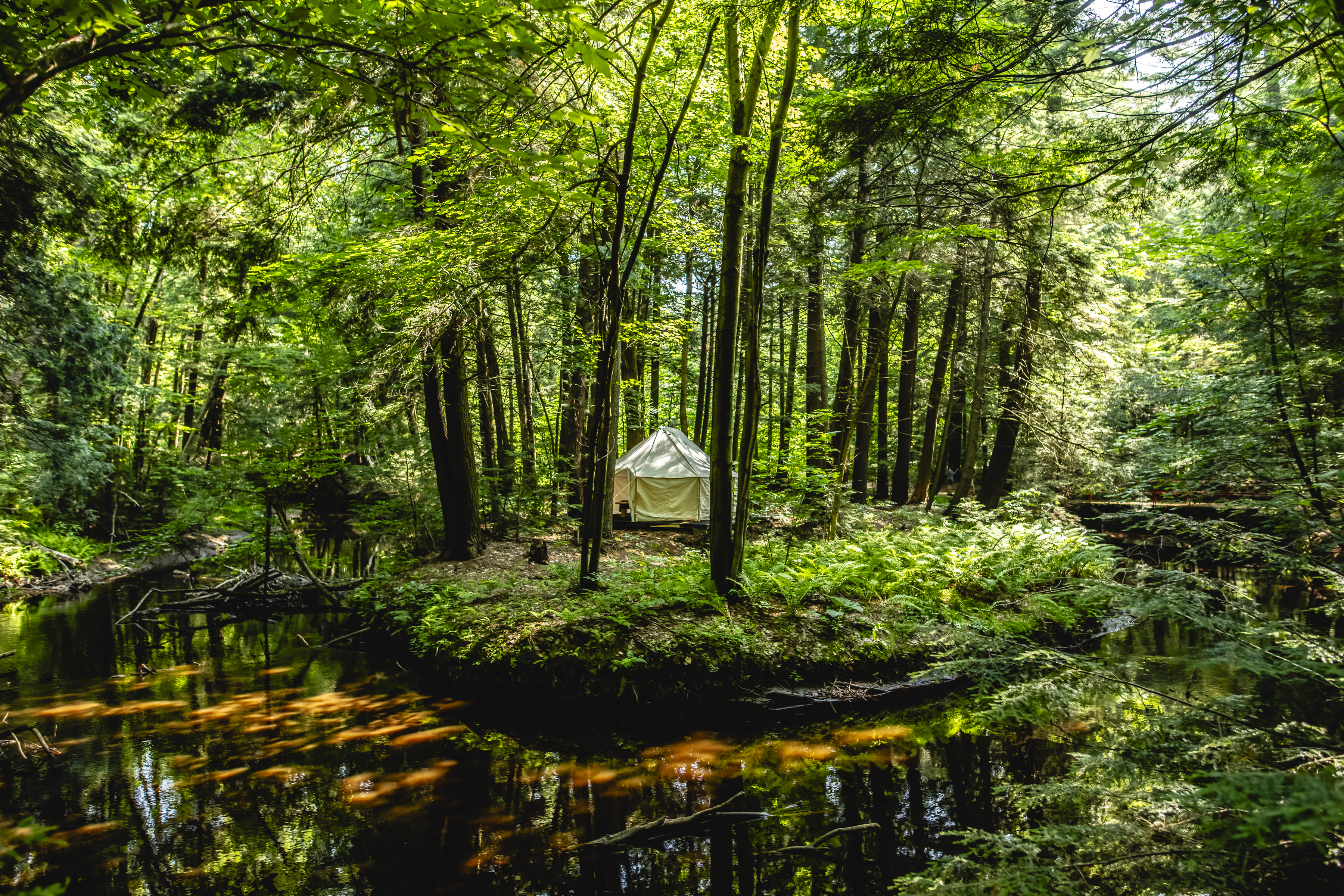 Table en forêt /Moulin Seigneurial28/08